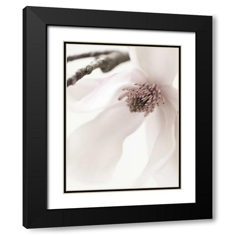 Magnolia Blush I Black Modern Wood Framed Art Print with Double Matting by Zalewski, Christine