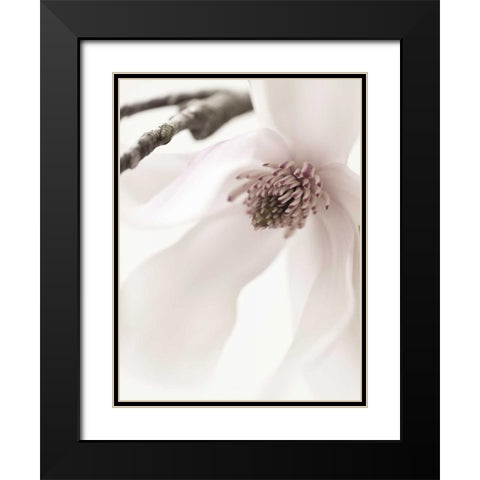 Magnolia Blush I Black Modern Wood Framed Art Print with Double Matting by Zalewski, Christine