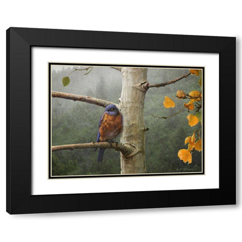 Bluebird Rain Black Modern Wood Framed Art Print with Double Matting by Vest, Chris