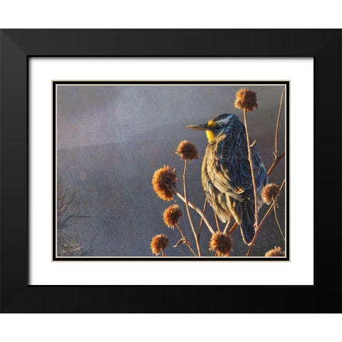 Meadowlark Black Modern Wood Framed Art Print with Double Matting by Vest, Chris