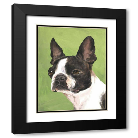 Dog Portrait-Boston Black Modern Wood Framed Art Print with Double Matting by Sands, Jill
