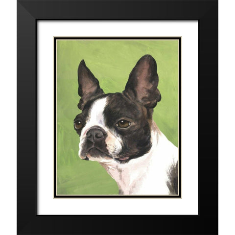Dog Portrait-Boston Black Modern Wood Framed Art Print with Double Matting by Sands, Jill