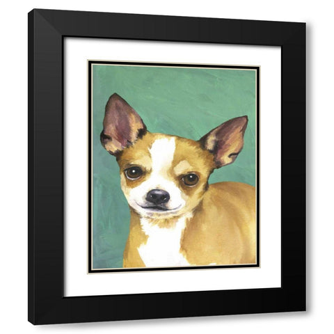 Dog Portrait-Chihuahua Black Modern Wood Framed Art Print with Double Matting by Sands, Jill