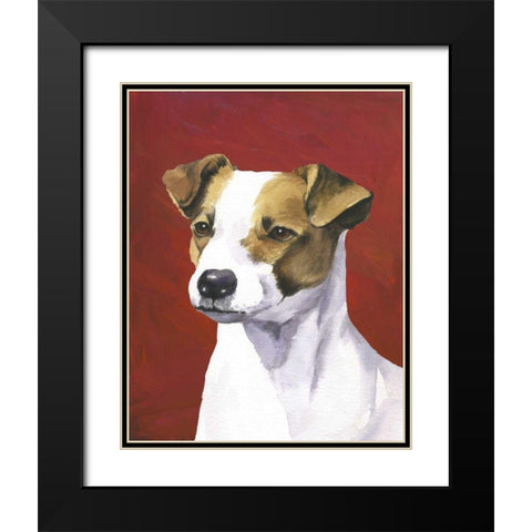 Dog Portrait-Jack Black Modern Wood Framed Art Print with Double Matting by Sands, Jill