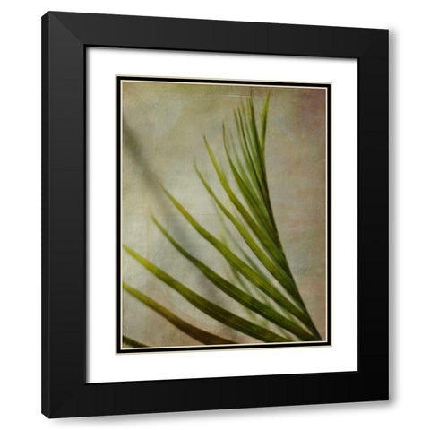 Elegant Frond I Black Modern Wood Framed Art Print with Double Matting by Robinson, Emily