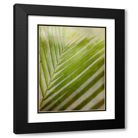 Elegant Frond II Black Modern Wood Framed Art Print with Double Matting by Robinson, Emily