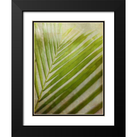Elegant Frond II Black Modern Wood Framed Art Print with Double Matting by Robinson, Emily