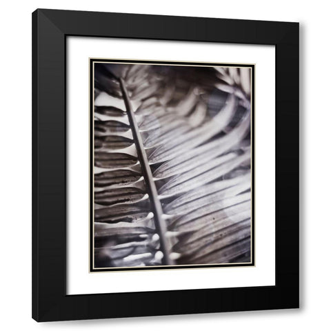 Silvery Frond I Black Modern Wood Framed Art Print with Double Matting by Robinson, Emily