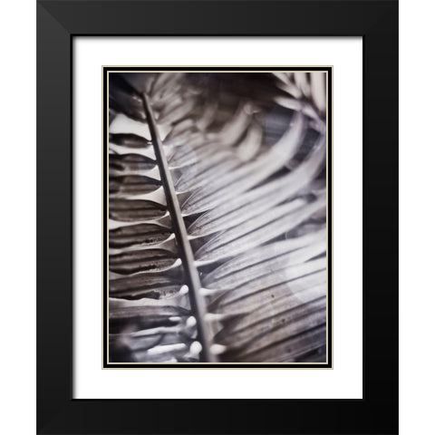 Silvery Frond I Black Modern Wood Framed Art Print with Double Matting by Robinson, Emily