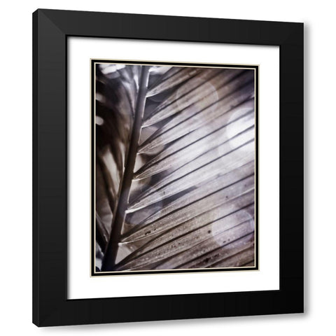 Silvery Frond II Black Modern Wood Framed Art Print with Double Matting by Robinson, Emily