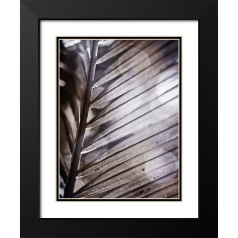 Silvery Frond II Black Modern Wood Framed Art Print with Double Matting by Robinson, Emily