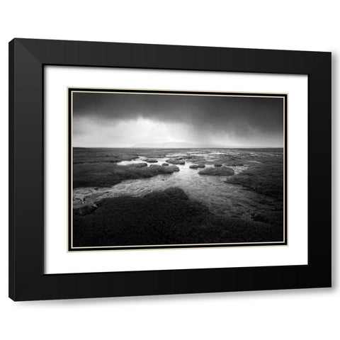 Scale Moor Black Modern Wood Framed Art Print with Double Matting by Henson, Martin