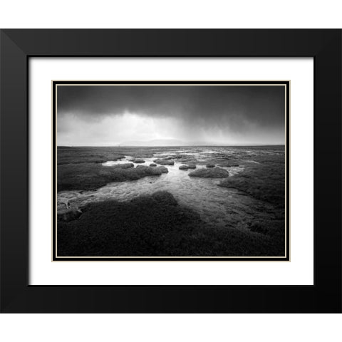 Scale Moor Black Modern Wood Framed Art Print with Double Matting by Henson, Martin