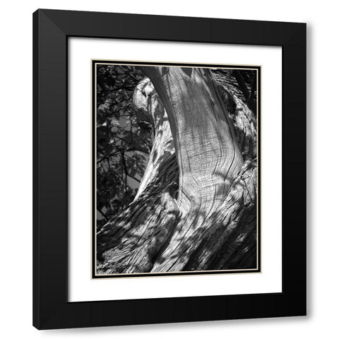 Texture Black Modern Wood Framed Art Print with Double Matting by Henson, Martin