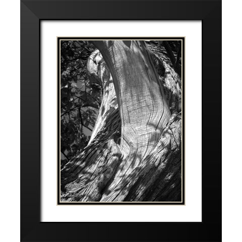 Texture Black Modern Wood Framed Art Print with Double Matting by Henson, Martin
