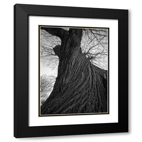 Twister Black Modern Wood Framed Art Print with Double Matting by Henson, Martin
