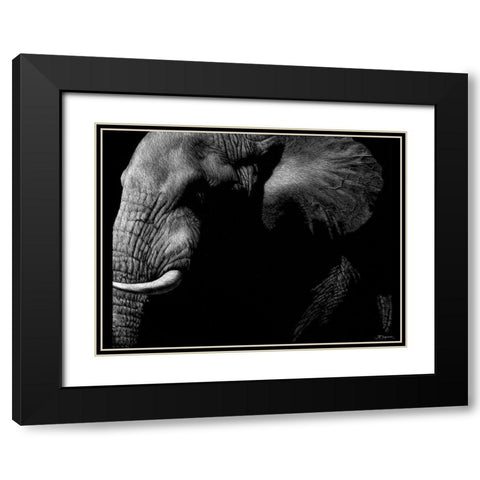 Wildlife Scratchboards III Black Modern Wood Framed Art Print with Double Matting by Chapman, Julie T.