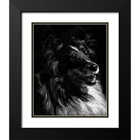 Canine Scratchboard XI Black Modern Wood Framed Art Print with Double Matting by Chapman, Julie T.