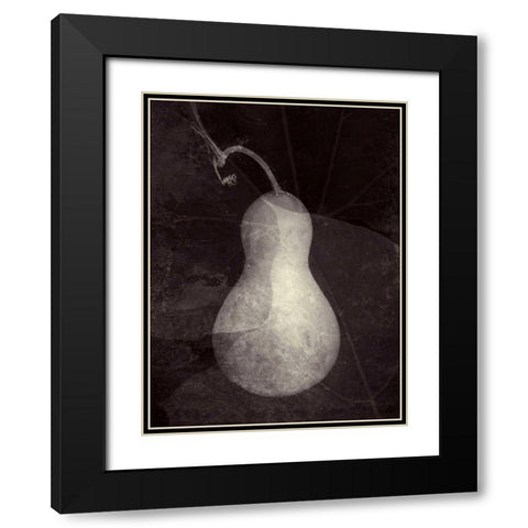 Gourd I Black Modern Wood Framed Art Print with Double Matting by Ray, Elena