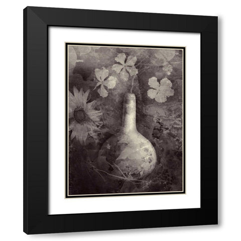 Gourd II Black Modern Wood Framed Art Print with Double Matting by Ray, Elena