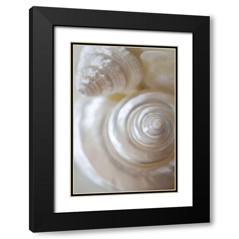 Pearlesce I Black Modern Wood Framed Art Print with Double Matting by Zalewski, Christine
