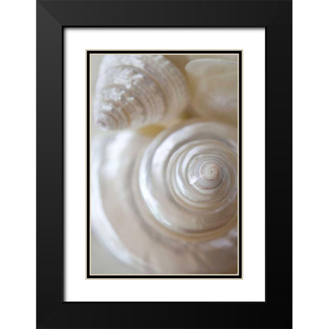 Pearlesce I Black Modern Wood Framed Art Print with Double Matting by Zalewski, Christine