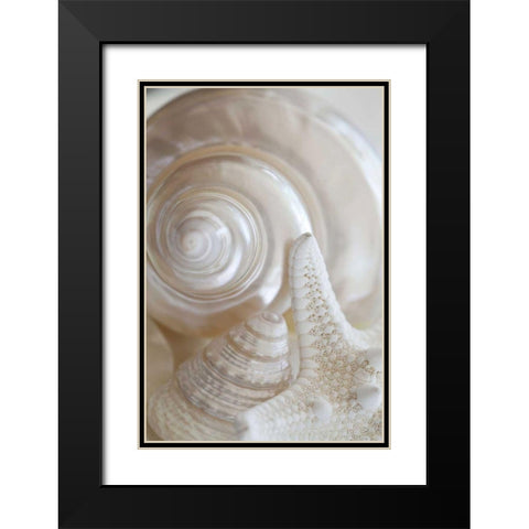 Pearlesce III Black Modern Wood Framed Art Print with Double Matting by Zalewski, Christine