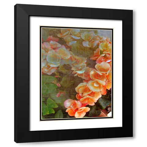 Luxurious I Black Modern Wood Framed Art Print with Double Matting by Harrington, Danielle