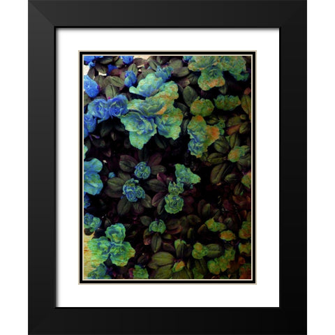 Luxurious II Black Modern Wood Framed Art Print with Double Matting by Harrington, Danielle