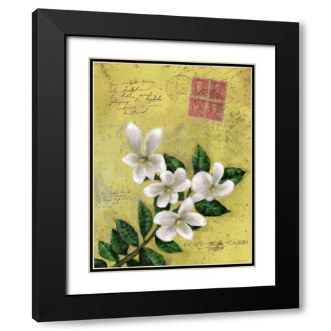 Postage VI Black Modern Wood Framed Art Print with Double Matting by Novak, Rick