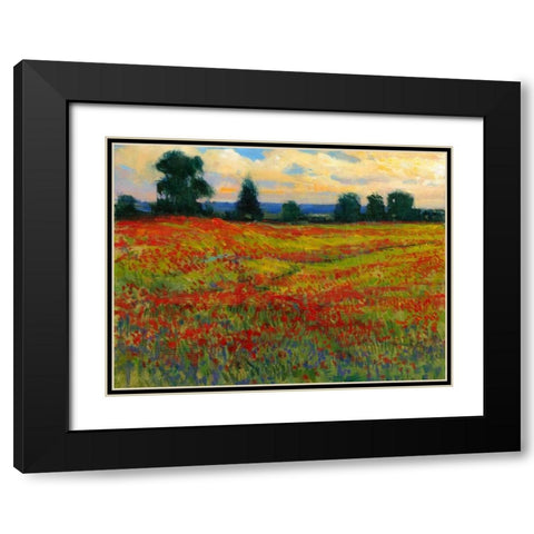 Red Field I Black Modern Wood Framed Art Print with Double Matting by OToole, Tim