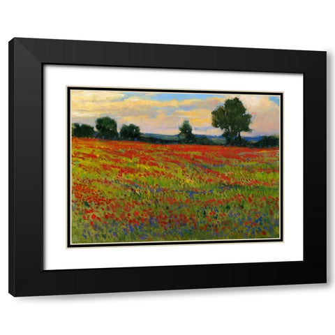 Red Field II Black Modern Wood Framed Art Print with Double Matting by OToole, Tim