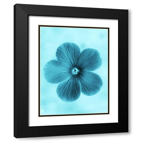 Forget Me Not Blue II Black Modern Wood Framed Art Print with Double Matting by Teton Parchment