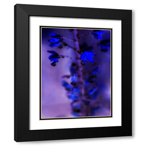 Morning Rain III Black Modern Wood Framed Art Print with Double Matting by Teton Parchment