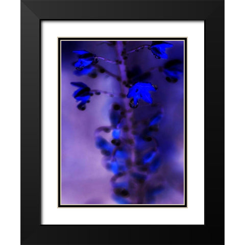 Morning Rain III Black Modern Wood Framed Art Print with Double Matting by Teton Parchment