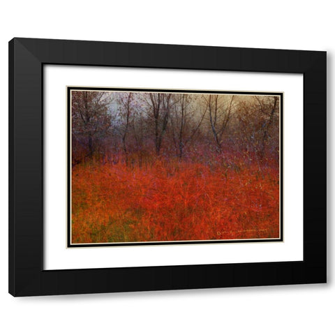 Red Grass I Black Modern Wood Framed Art Print with Double Matting by Vest, Chris