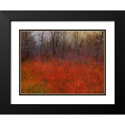 Red Grass I Black Modern Wood Framed Art Print with Double Matting by Vest, Chris