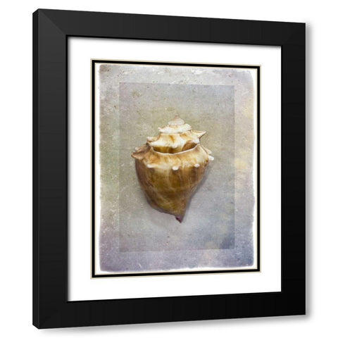 Sheltered I Black Modern Wood Framed Art Print with Double Matting by Hartson-Weddle, Ryan