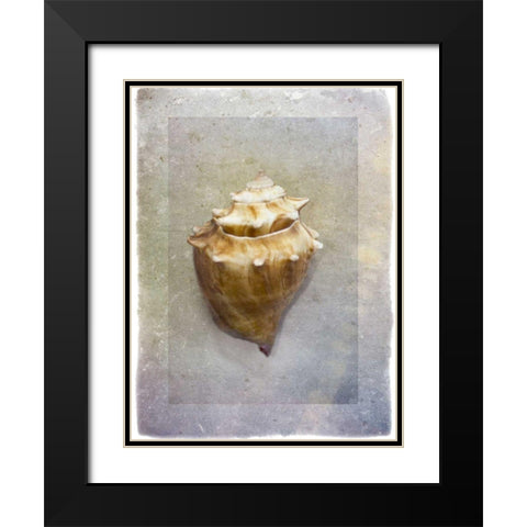 Sheltered I Black Modern Wood Framed Art Print with Double Matting by Hartson-Weddle, Ryan