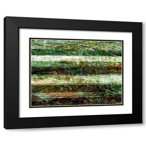 Lines of Nature II Black Modern Wood Framed Art Print with Double Matting by Harrington, Danielle