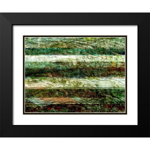 Lines of Nature II Black Modern Wood Framed Art Print with Double Matting by Harrington, Danielle