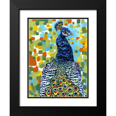 Plumed Peacock II Black Modern Wood Framed Art Print with Double Matting by Vitaletti, Carolee