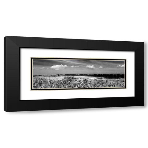 Shore Panorama III Black Modern Wood Framed Art Print with Double Matting by Pica, Jeff