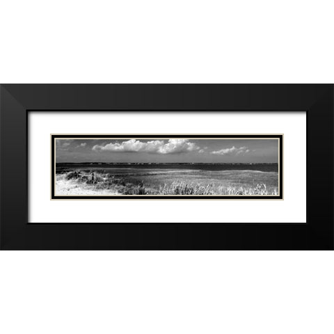 Shore Panorama VII Black Modern Wood Framed Art Print with Double Matting by Pica, Jeff