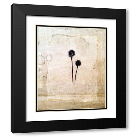 Herbarium IV Black Modern Wood Framed Art Print with Double Matting by Blixt, Ingrid