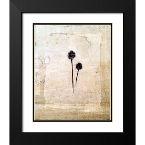 Herbarium IV Black Modern Wood Framed Art Print with Double Matting by Blixt, Ingrid