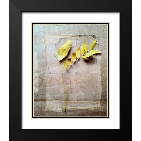 Herbarium V Black Modern Wood Framed Art Print with Double Matting by Blixt, Ingrid