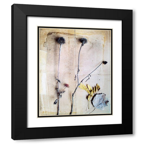 Herbarium VII Black Modern Wood Framed Art Print with Double Matting by Blixt, Ingrid