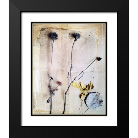 Herbarium VII Black Modern Wood Framed Art Print with Double Matting by Blixt, Ingrid