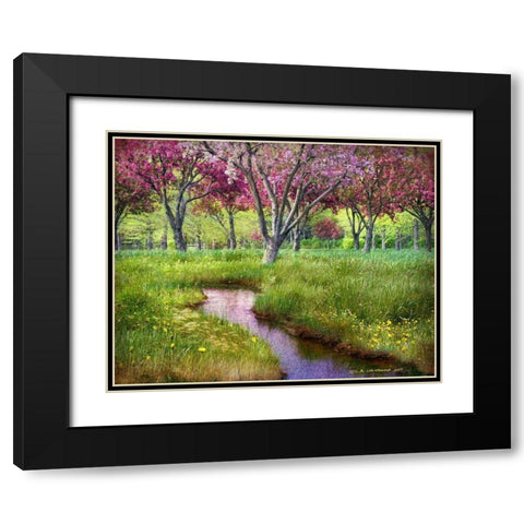 Summer Spring Black Modern Wood Framed Art Print with Double Matting by Vest, Chris